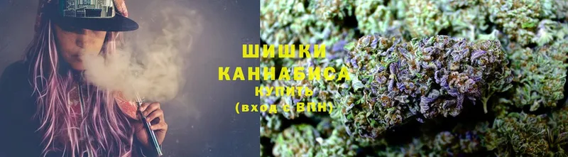 купить закладку  MEGA ССЫЛКА  Бошки марихуана гибрид  Богучар 